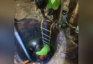  உறை கிணற்றில் தவறி விழுந்த பசுமாடு மீட்பு