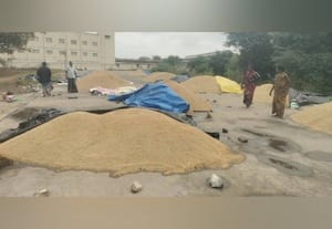  கீழவளவில் நெல் கொள்முதல் நிலையம் எப்போது திறப்பீங்க