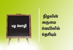  பழமொழி:  நிழலின் அருமை வெயிலில் தெரியும்