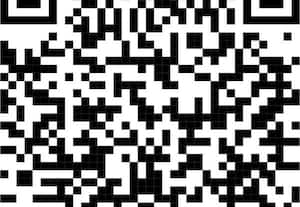  கோ - கோ போட்டி; அரசு மகளிர் பாலிடெக்னிக் கல்லுாரி முதலிடம்