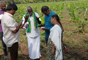  வெங்காய பயிர் கருகியது எப்படி? வேளாண் விஞ்ஞானிகள் ஆய்வு