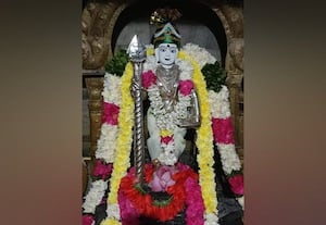  முருகன் கோயில்களில்  கார்த்திகை  வழிபாடு