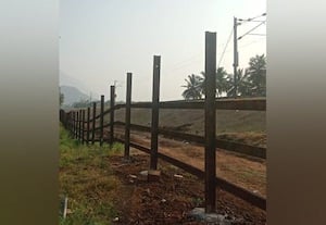 யானைகள் ரயிலில் அடிபடாமல் பாதுகாக்க 'ரயில் வேலி' பணி அமைக்கும் பணி தீவிரம்