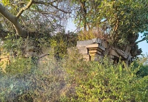  கவனிப்பாரின்றி அழியும் நிலையில் பழமையான பெகிலி சிவன் கோவில்