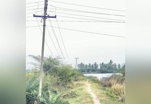 திருவள்ளூர்: புகார் பெடடி;  தாழ்வாக செல்லும் மின்கம்பி மின்வாரிய அதிகாரிகள் மவுனம்