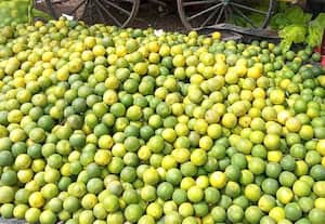  வரத்து அதிகரிப்பு சந்தையில் சாத்துக்குடி 3 கிலோ ரூ.100