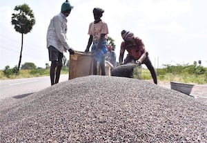  சத்து நிறைந்த கருப்புச்சோளம் கொள்முதல் விலை உயர்த்தப்படுமா