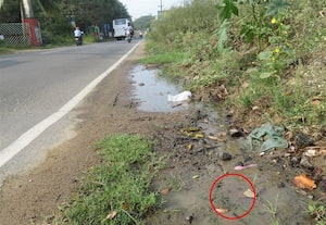  பிரதான குழாயில் உடைப்பு ஏனாத்துாரில் வீணாகும் குடிநீர்