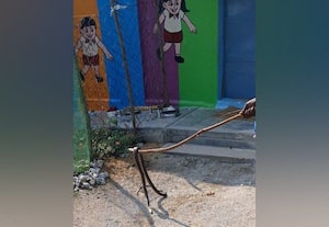  அங்கன்வாடியில் புகுந்த கட்டுவிரியன் பாம்பு