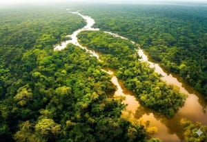 பருவநிலை மாற்றத்தால் இடம்பெயரும் காடுகள்