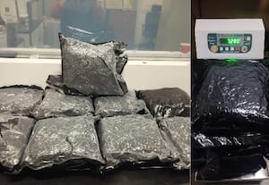 டில்லி விமான நிலையத்தில் ரூ.10 கோடி போதைப் பொருள் பறிமுதல்; கடத்தல் "குருவி"கள் குறித்து விசாரணை