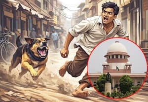 வெறும் காற்றில் நாய் காப்பகங்களை கட்டுவதா? தமிழகம் உட்பட பல மாநிலங்கள் மீது உச்ச நீதிமன்றம் அதிருப்தி