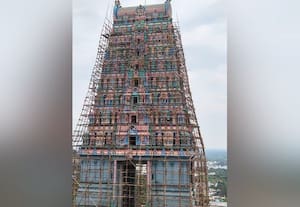  திருத்தணி கோவில் ராஜகோபுரத்திற்கு வண்ணம் தீட்டும் பணி மும்முரம்