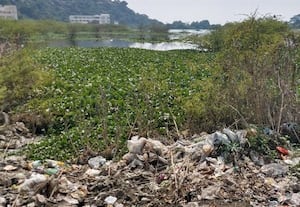  கழிவு நீர் கலந்து துர்நாற்றம் வீசும் மேல்பூண்டி தக்கா ஏரி நீர்
