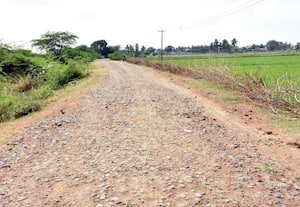  வீ.பாளையம் - தண்டலை சாலை சீரமைக்க நடவடிக்கை தேவை