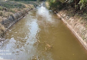  கடைமடையை அடைந்த பி.ஏ.பி. தண்ணீர்