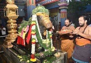  'ஓம் நமசிவாய' கோஷத்துடன் தை மாத பிரதோஷ வழிபாடு 