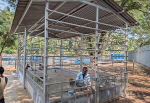  மாசாணியம்மன் கோவிலில் இன்று மயான பூஜை பாதுகாப்பு தடுப்புகள் அமைப்பு