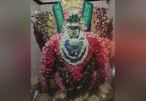  காட்டுப்பன்றிகளால் தொல்லை கறவை மாடுக்கு தீவனம் இல்லை