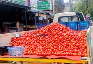  மானாமதுரையில் 6 கிலோ தக்காளி  ரூ.100