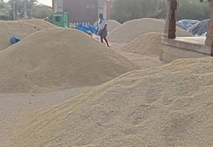  நெல் கொள்முதலுக்கு குழு அமைக்க அரசியல் கட்சியினரிடையே போட்டி கொட்டக்குடியில் 2 ஆயிரம் மூடைகள் தேக்கம்