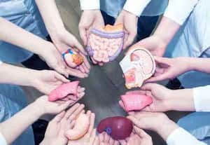 வெயிலில் அதிகம் பணி செய்பவர்களுக்கு சிறுநீரக பாதிப்பு: உறுப்பு  மாற்று சிகிச்சைக்காக 7,200 பேர்  காத்திருப்பு