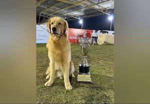  சென்னையில் இன்று 'டாக் ஷோ'