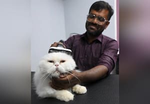  குரூமிங் ஆடம்பரமா?