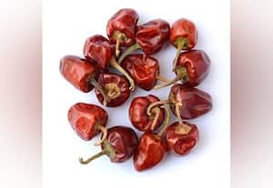  ஏறுமுகத்தில் குண்டு மிளகாய் குவின்டால் ரூ.33,000