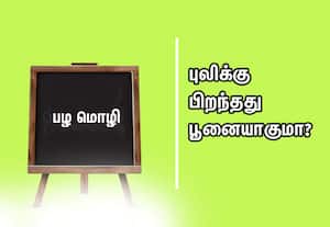  பழமொழி:  புலிக்கு பிறந்தது பூனையாகுமா?