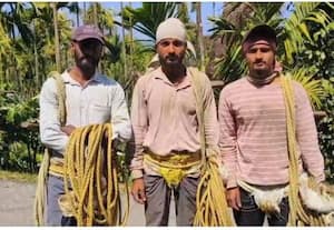  பாக்கு வெட்டும் இளைஞர்கள்