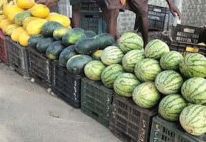  கோடைக்கு முன்பே துவங்கிய தர்ப்பூசணி சீசன்