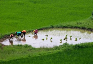  'விபி - ஜி ராம் ஜி' திட்டத்துக்கு ரூ.95,000 கோடி