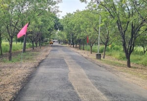  மரங்கள் வளர்ப்பில் அக்கறை குளு குளு சூழலில் மாணவர்கள்