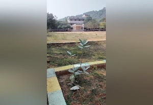  சீரழிந்து வரும் விளையாட்டு திடல் பயன்படுத்த தயங்கும் மாணவர்கள்