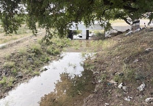  குழாய் உடைந்து வீணாகும் குடிநீர்