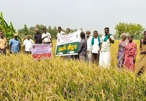  விவசாயிகளுக்கான வயல் விழா