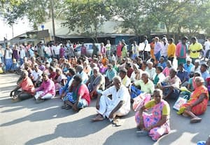  உளுந்து பயிருக்கு உரிய விலை கோரி விவசாயிகள் சாலை மறியல்