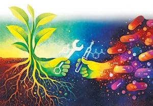 தாவரங்களுக்குள் ஒளிந்திருக்கும் பாக்டீரியா வித்தைகள்