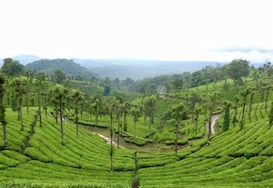  அணைகள் நீர்மட்டம்