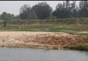  பாலைவனமாகும் விவசாய நிலங்கள் மணல் கொள்ளை!:  சாட்டையை சுழற்றுவாரா கலெக்டர்?