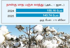  பஞ்சு வரத்து குறைந்தது இறக்குமதி வரி ரத்தாகுமா?