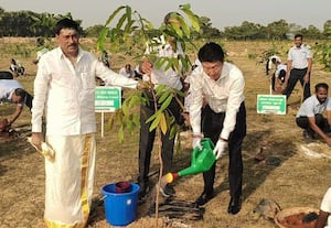  வளையக்கரணையில் 1,000 மரக்கன்றுகள் நடவு