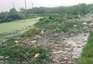  குப்பை கழிவுகளால் பாழாகும் குளம்