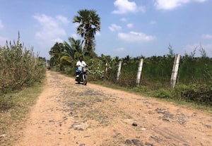  சேதமான நேத்தப்பாக்கம் சாலை சீரமைக்க மக்கள் வலியுறுத்தல்