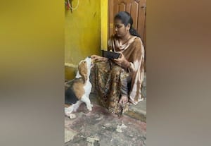  நான், வெஜ் மட்டுமே... என்போருக்காக 'நான் வெஜ்'