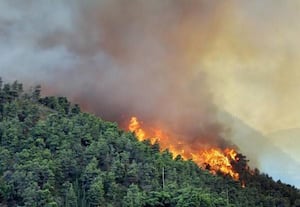  8 மாவட்டங்களில் 42 இடங்களில் காட்டுத்தீ