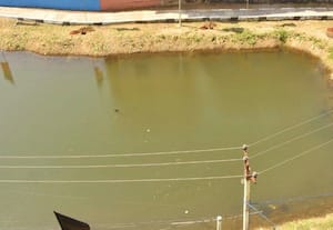  ரூ.80 லட்சம் மதிப்பில் காஞ்சான்குட்டை சீரமைப்பு