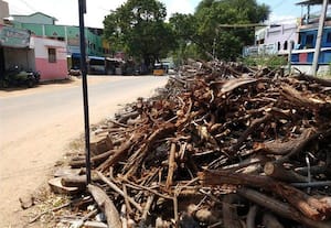  ரெகுநாதபுரத்தில் சாலையில் கொட்டப்படும் மரக்கழிவுகள்