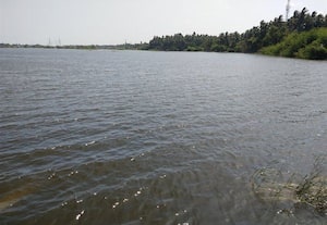 மண்வளம்,  நீர்மட்டத்திற்கு ஆதாரமான தரவைகளை பாதுகாக்கலாமே;  குப்பை, ஆக்கிரமிப்புகளை அகற்ற மக்கள் வலியுறுத்தல்